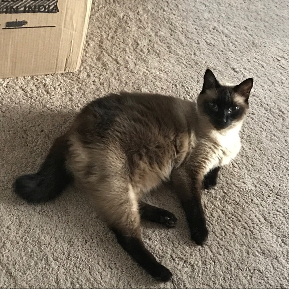 Meet your Posher, Jamie - Picture 1 of 1